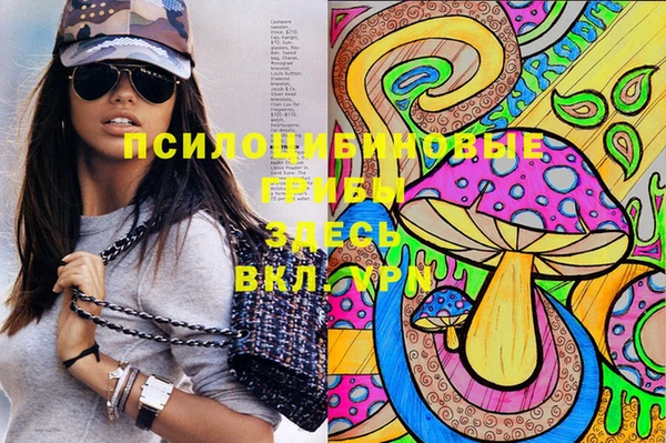 прущий лед Абаза