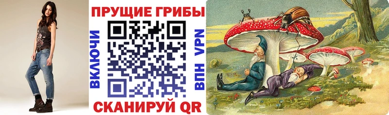 Псилоцибиновые грибы Psilocybe Кудымкар