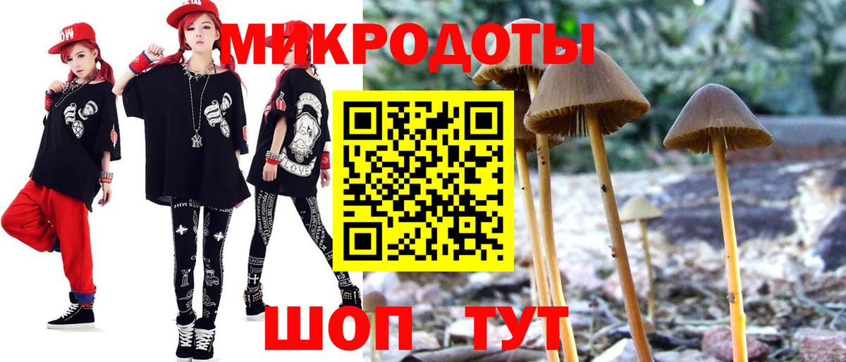 Галлюциногенные грибы Psilocybine cubensis Кудымкар