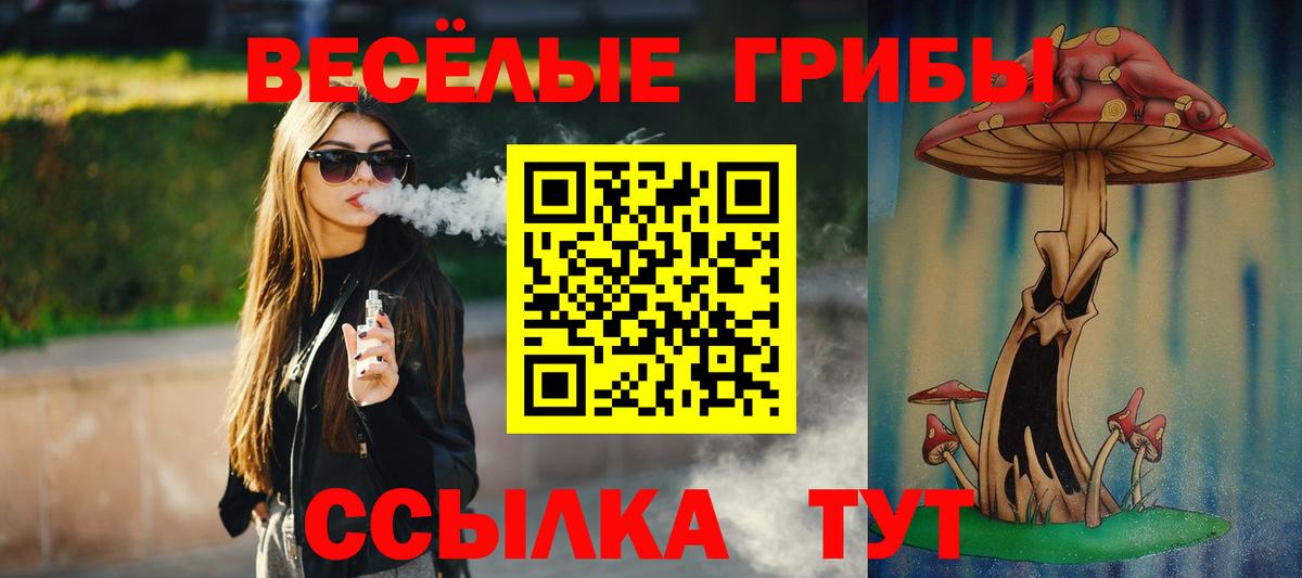 Галлюциногенные грибы MAGIC MUSHROOMS  Вход с VPN  Кудымкар 